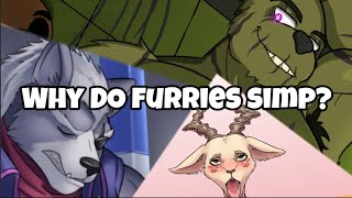 Why Furries Simp For Villains [upl. by Armallas210]