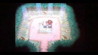 Pokemon Black and White 2How to catch Zangoose [upl. by Nesto]