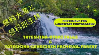 Photowalk to TateshinaOtaki Falls in Nagano Prefecture Japan for some Landscape Photography（蓼科大滝） [upl. by Blondelle]