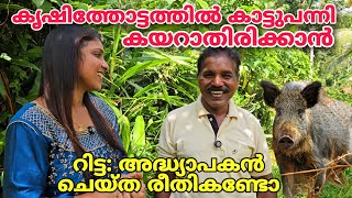 കൃഷിത്തോട്ടത്തിൽ കാട്ടുപന്നി കയറാതിരിക്കാൻ റിട്ട അദ്ധ്യാപകൻ ചെയ്ത രീതി കണ്ടോ  Agri [upl. by Anetsirk]