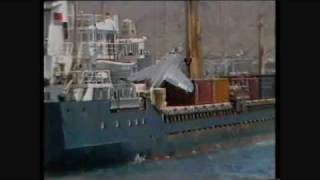 Emergency Landing on Cargo Ship by Sea Harrier [upl. by Eirb]