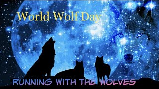 World Wolf Day  Running With The Wolves [upl. by Paige]