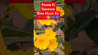 Panna Ki Tamanna Song cover kishore Kumar Lata Mangeshkar  Heera Panna Movie song oldhindisong [upl. by Nash644]