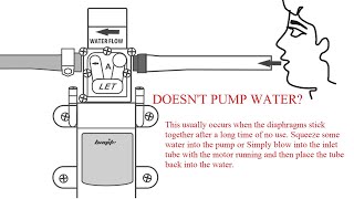 how to fix bayite 7A102 diaphragm pump dead pump doesnt pump water [upl. by Yelnahs]