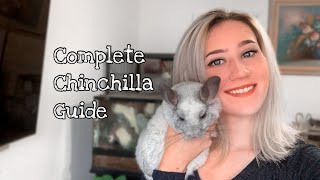 CHINCHILLA CARE GUIDE Everything You Need to Know [upl. by Blase766]