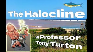 The halocline revisited with Professor Tony Turton and The Sardine News [upl. by Sherri]