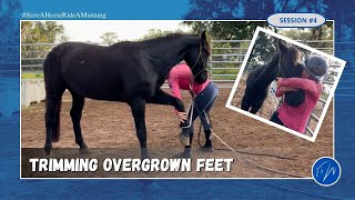 Trimming my wild mustangs overgrown feet for the first time [upl. by Jeanine]