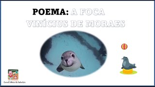 Poema A Foca de Vinicius de Moraes  Gênero textual  Hora de Estudar  A Foca [upl. by Clarhe]