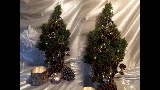 DIY Alles NATUR edle LED WeihnachtsDEKO amp MEHR einfach selber machen [upl. by Belayneh]