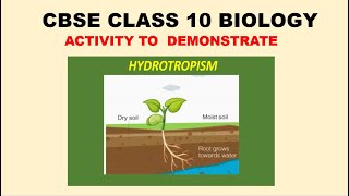 HYDROTROPISM BY RAVI KUMAR [upl. by Aldarcy]