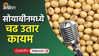 Cotton Soybean Market कापूस बाजारभाव सोयाबीन भाव कांदा बाजार मोसंबी दर  Agrowon [upl. by Derk]