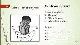 Revisão de estática fetal na assistência ao parto pélvico estáticafetal [upl. by Einaej185]