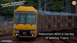 Petersham With A Variety Of Midday Trains  24042024 [upl. by Elahcar]