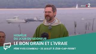 Le bon grain et l’ivraie  Homélie du 23 juillet 2023 [upl. by Enaitsirk702]