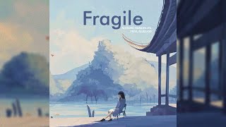 山下達郎 Tatsuro Yamashita  Fragile Prod Masiyoo [upl. by Gerbold464]