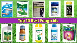 Top 10 Best Fungicide [upl. by Maitland]