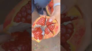 Our pomegranate is good for him fruit shortsvideo funny reels [upl. by Enetsirk690]