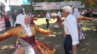 RESADİYE SAZAK KÖYÜ SIRIKLI FESTIVALI KIRKLAR SAMAHI 10 08 2024 [upl. by Enairb926]