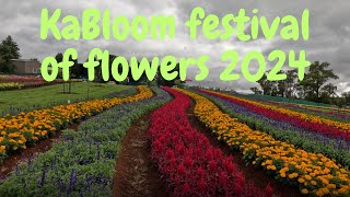 KABLOOM FESTIVAL OF FLOWERS 2024 [upl. by Nayrda]