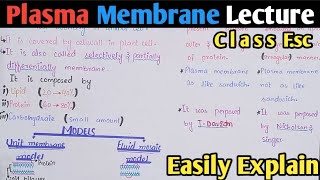 Plasma Membrane Structure And Functions  Fluid Mosaic Model  Class 11 Biology [upl. by Merline768]