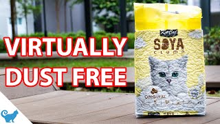 Cat Litter Pellets Review Kit Cat Soya Clump Cat Litter [upl. by Suollecram]