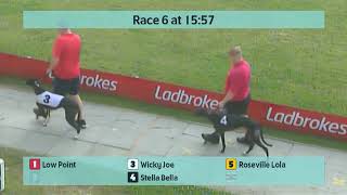 Crayford Greyhounds Races on 13th July 2024 [upl. by Sedecram]