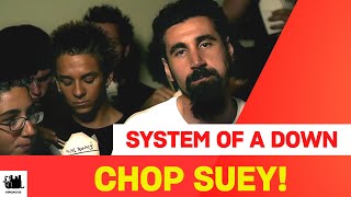 System Of A Down  Chop Suey Lyrics [upl. by Nytsyrk]