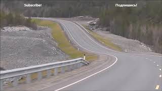 Trip from Murmansk Russia to Kirkenes Norway for 5 minutes [upl. by Levison]