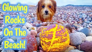 Finding Yooperlites on the Beach of Lake Superior in Michigan  Crystal Collecting [upl. by Ssirk]