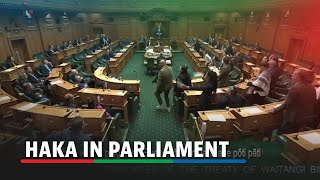 New Zealand lawmakers stage haka to protest indigenous treaty bill [upl. by Trinl]