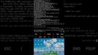 Termux set up termux hack termuxtool [upl. by Tezil]