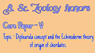 Dipleurula concept and the Echinoderm theory of origin of chordates [upl. by Syned]