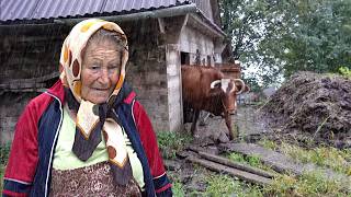 Life of a Lonely 80YearOld Grandmother Working in the Rain in a Mountain Village [upl. by Samuele623]