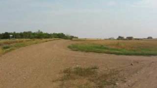 Killdeer Saskatchewan [upl. by Aihselef]