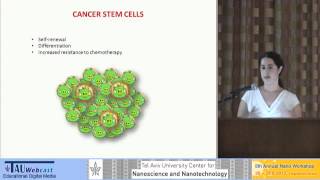 Targeting cancer stem cells with NCAMassisted delivery of nanoscaled polymer therapeutics [upl. by Stratton]