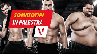 Somatotipi in palestra endomorfo mesoformo ectomorfo [upl. by Ghiselin]