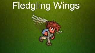 Terraria How to Get Fledgling Wings  1423 Only [upl. by Llenrag]