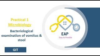 Practical 1  Microbiology  Bacteriological examination of vomitus amp stool  GIT [upl. by Ailito148]