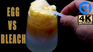 Mixing Egg And Bleach What Happens Next 4k Timelapse [upl. by Marsh]