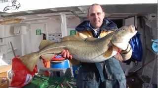 World Championships in Skrei Fishing Lofoten 2013 [upl. by Hcirteid]