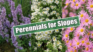 Gardening on Slopes Here Are 10 Perennials for Sun and Shade [upl. by Ettenwad93]