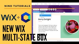 Wix Multi State Box  Nino Web Tutorials  Wix Tutorial [upl. by Iduj179]