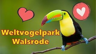 Weltvogelpark Walsrode [upl. by Ym]