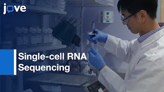 Singlecell RNA Sequencing and Analysis  Protocol Preview [upl. by Landel]