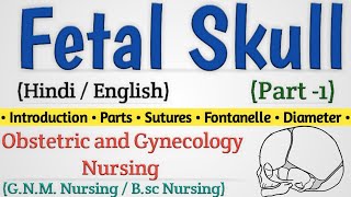 Fetal Skull In Hindi  Fetal Skull Nursing Lecture  Fetal Skull Diameters Part 1 [upl. by Sadnac]