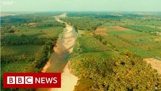 River Stories Cauvery river  BBC News [upl. by Enrobyalc858]