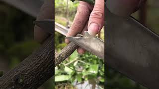 Best grafting technique grafting satisfying [upl. by Arvid]