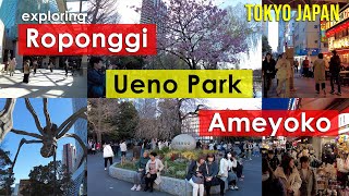 Explore Japan  Roponggi to Ueno Park to Ameyoko  Walking Tour  Tokyo Japan [upl. by Nolte]