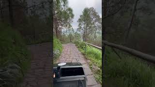 The road to kasauli hills resort Kasauli  Scenic music pahad hills [upl. by Ayak]