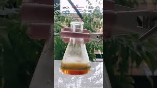 Potassium Iodide Vs Hydrogen peroxide GIANT🐍 SNAKE Experiment sciencewithme66 [upl. by Nosnor]